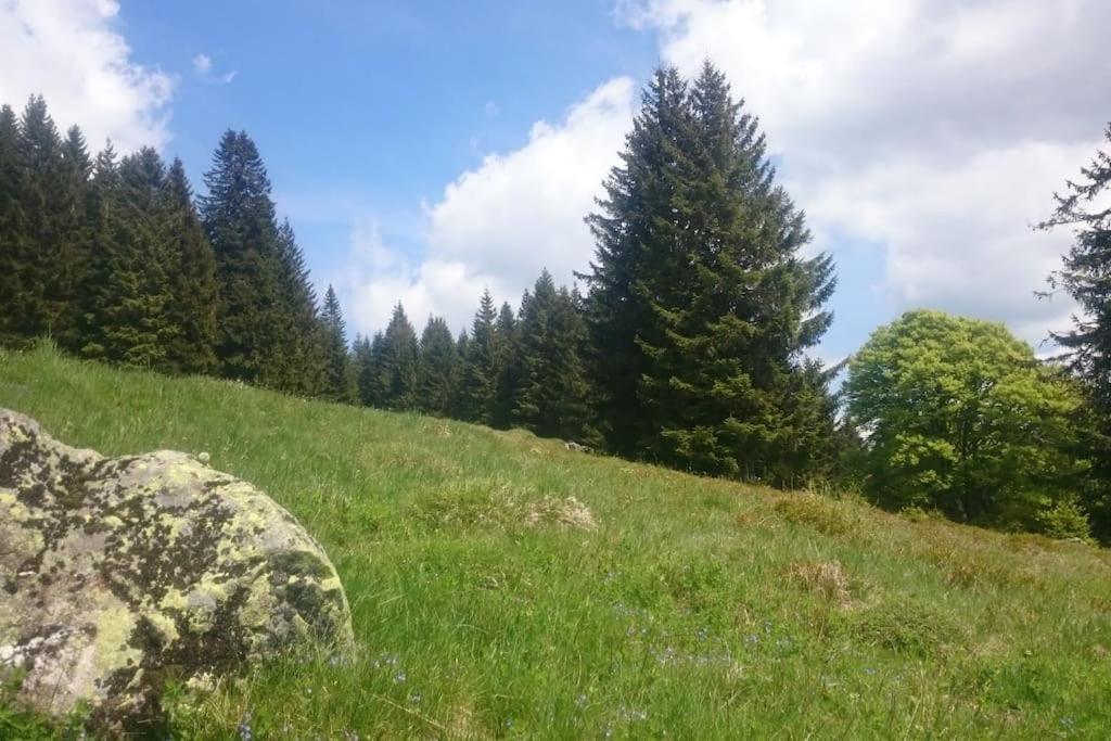 Ferienwohnung Schog Тодтнау Екстер'єр фото
