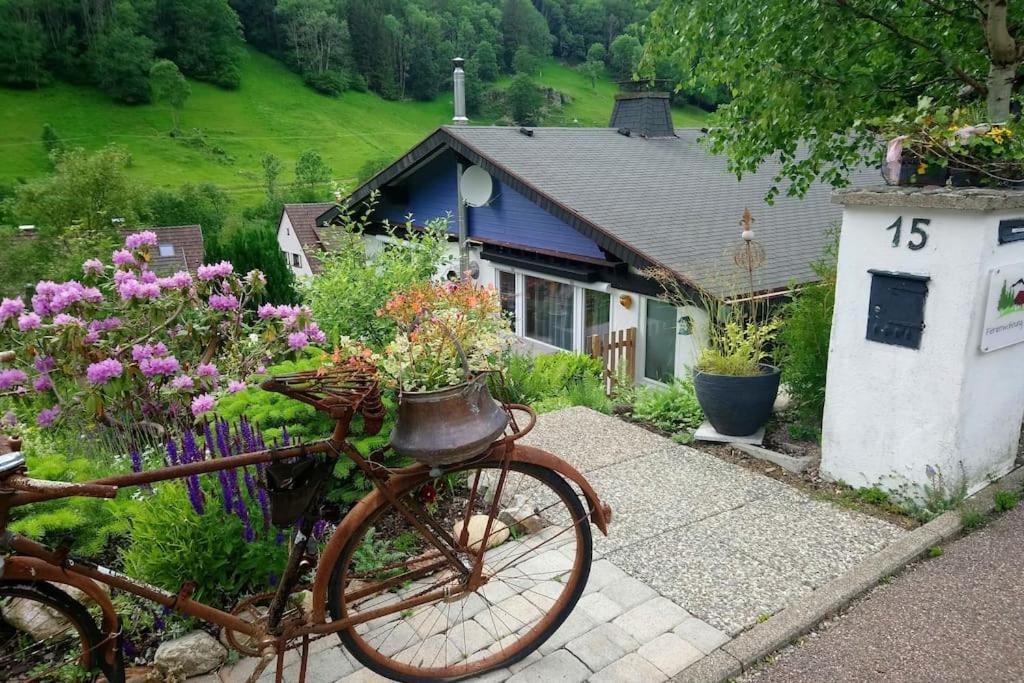 Ferienwohnung Schog Тодтнау Екстер'єр фото